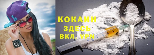 СК Алексин