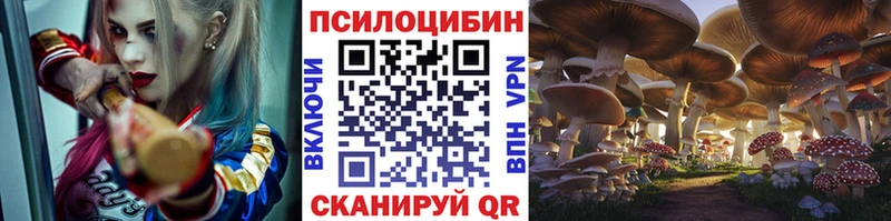 Псилоцибиновые грибы Psilocybine cubensis shop какой сайт Опочка цены